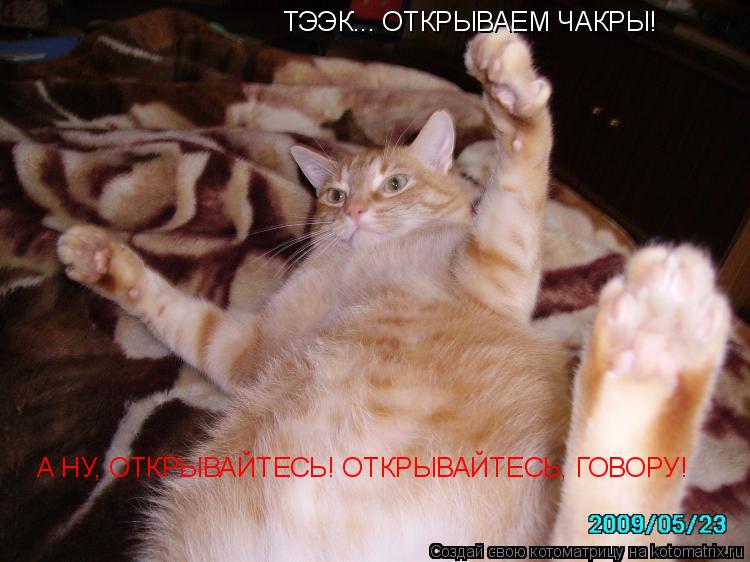 ТЭЭК... ОТКРЫВАЕМ ЧАКРЫ! А НУ, ОТКРЫВАЙТЕСЬ! ОТКРЫВАЙТЕСЬ, ГОВОРУ!... Котоматрица: ТЭЭК... ОТКРЫВАЕМ ЧАКРЫ! А НУ, ОТКРЫВАЙТЕСЬ! ОТКРЫВАЙТЕСЬ, ГОВОРУ!