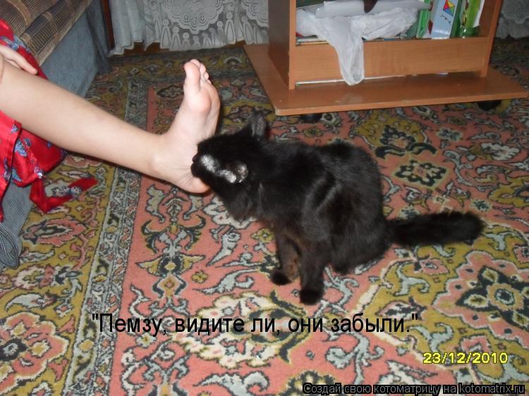 "Пемзу, видите ли, они забыли…"... Котоматрица: "Пемзу, видите ли, они забыли…"