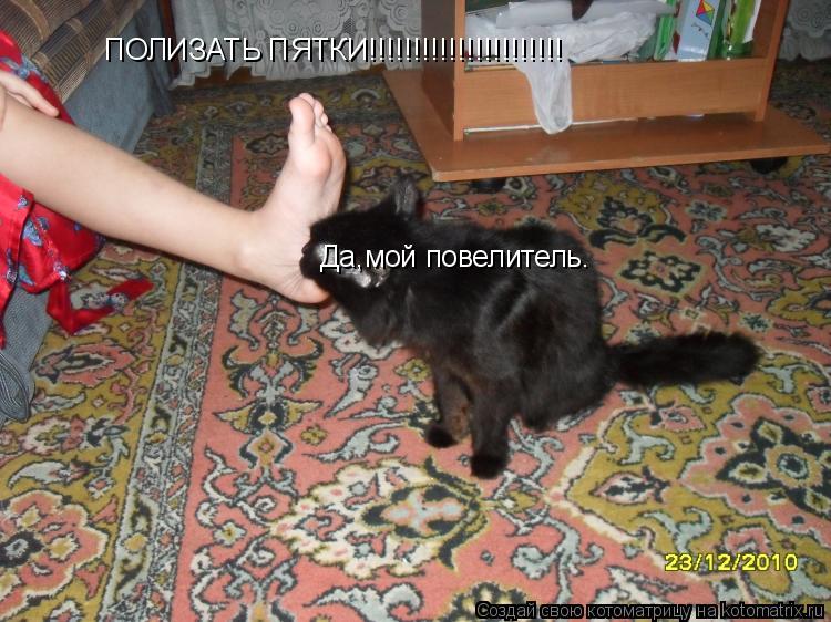 ПОЛИЗАТЬ ПЯТКИ!!!!!!!!!!!!!!!!!!!!!! Да,мой повелитель.... Котоматрица: ПОЛИЗАТЬ ПЯТКИ!!!!!!!!!!!!!!!!!!!!!! Да,мой повелитель.