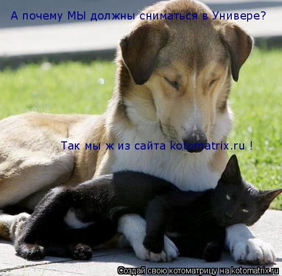А почему МЫ должны сниматься в Универе? Так мы ж из сайта kotomatrix.ru !... Котоматрица: А почему МЫ должны сниматься в Универе? Так мы ж из сайта kotomatrix.ru !