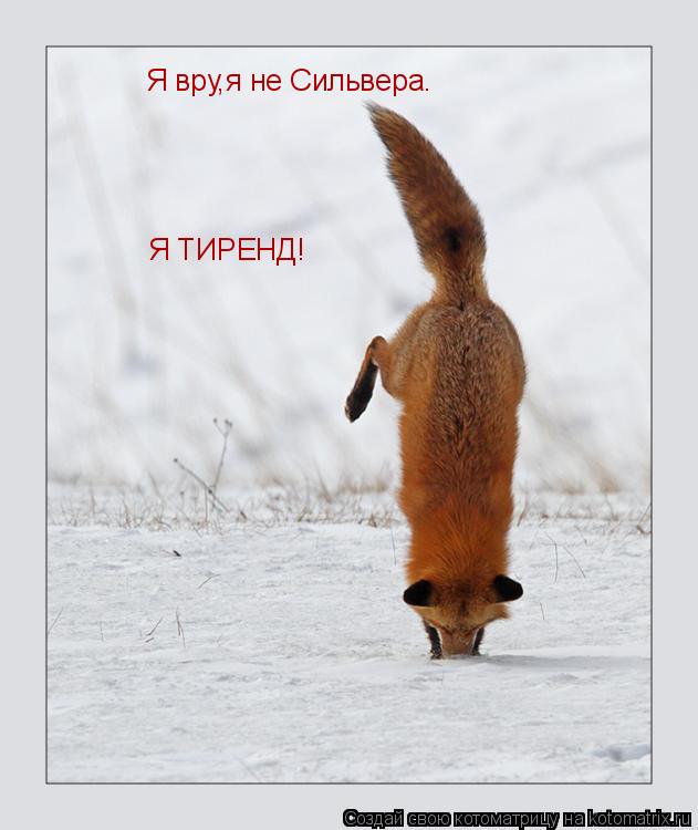 Я вру,я не Сильвера. Я ТИРЕНД!... Котоматрица: Я вру,я не Сильвера. Я ТИРЕНД!