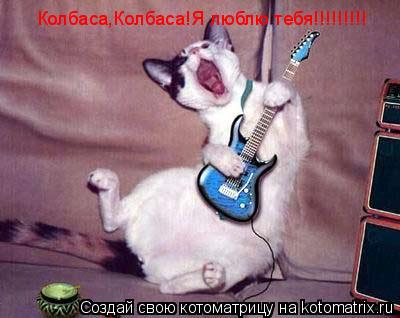 Колбаса,Колбаса!Я люблю тебя!!!!!!!!!... Котоматрица: Колбаса,Колбаса!Я люблю тебя!!!!!!!!!