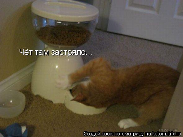 Чёт там застряло...... Котоматрица: Чёт там застряло...