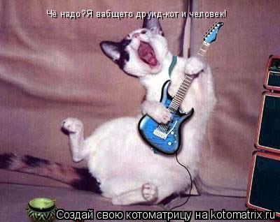Чё надо?Я вабщето друид-кот и человек!... Котоматрица: Чё надо?Я вабщето друид-кот и человек!