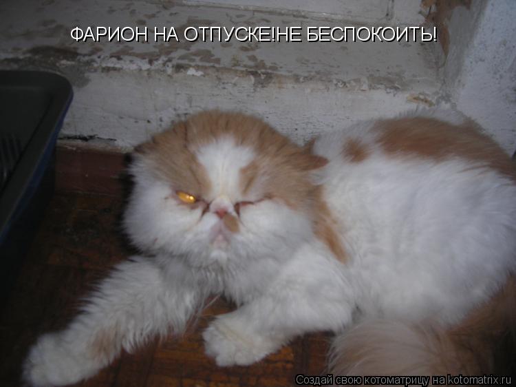 ФАРИОН НА ОТПУСКЕ!НЕ БЕСПОКОИТЬ!... Котоматрица: ФАРИОН НА ОТПУСКЕ!НЕ БЕСПОКОИТЬ!