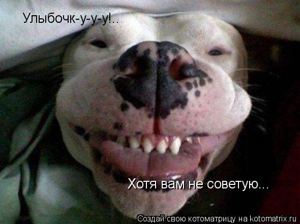 Улыбочк-у-у-у!.. Хотя вам не советую...... Котоматрица: Улыбочк-у-у-у!.. Хотя вам не советую...