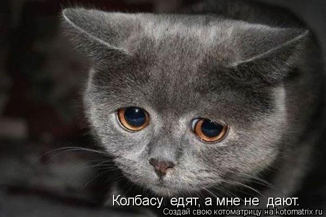 Колбасу едят, а мне не дают.... Котоматрица: Колбасу едят, а мне не дают.