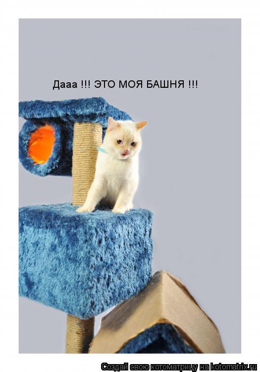 Дааа !!! ЭТО МОЯ БАШНЯ !!!... Котоматрица: Дааа !!! ЭТО МОЯ БАШНЯ !!!