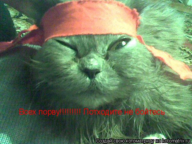 Всех порву!!!!!!!!! Потходите не бойтесь... Котоматрица: Всех порву!!!!!!!!! Потходите не бойтесь