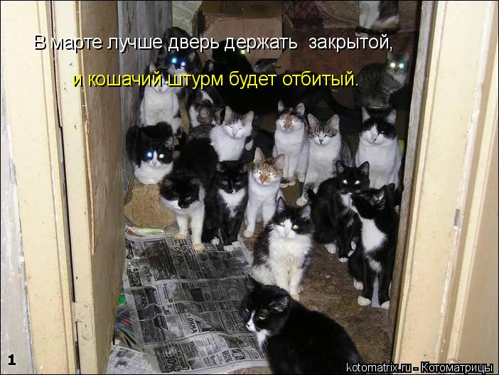В марте лучше дверь держать закрытой, и кошачий штурм будет отбитый.... Котоматрица: В марте лучше дверь держать закрытой, и кошачий штурм будет отбитый.