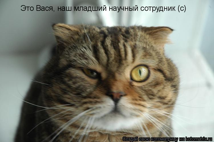 Это Вася, наш младший научный сотрудник (с)... Котоматрица: Это Вася, наш младший научный сотрудник (с)