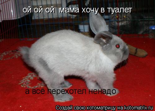 ой ой ой мама хочу в туалет а всё перехотел ненадо... Котоматрица: ой ой ой мама хочу в туалет а всё перехотел ненадо