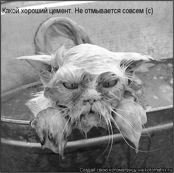 Какой хороший цемент. Не отмывается совсем (с)... Котоматрица: Какой хороший цемент. Не отмывается совсем (с)