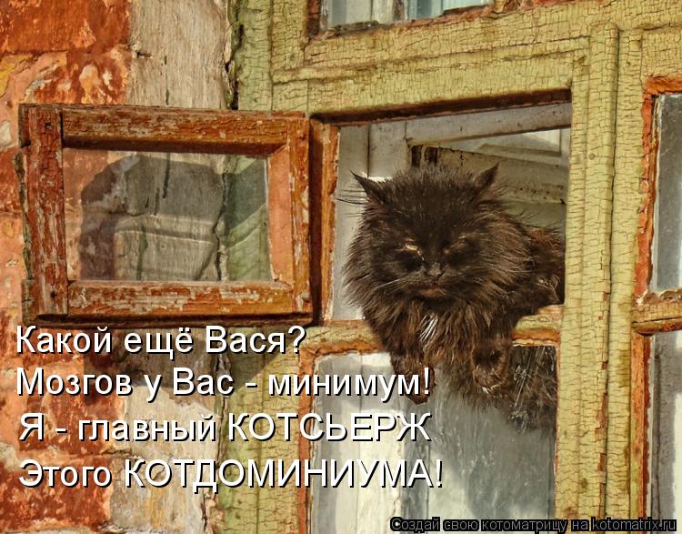 Какой ещё Вася? Мозгов у Вас - минимум! Я - главный КОТСЬЕРЖ Этого КОТДОМИНИУМА!... Котоматрица: Какой ещё Вася? Мозгов у Вас - минимум! Я - главный КОТСЬЕРЖ Этого КОТДОМИНИУМА!