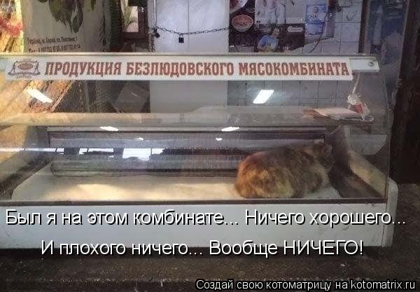 Был я на этом комбинате... Ничего хорошего... И плохого ничего... Вообще НИЧЕГО!... Котоматрица: Был я на этом комбинате... Ничего хорошего... И плохого ничего... Вообще НИЧЕГО!
