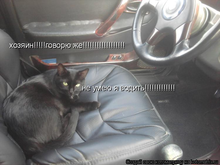 хозяин!!!!!говорю же!!!!!!!!!!!!!!!!!! !не умею я водить!!!!!!!!!!!!!!!!!!!!!!!!!!!!!!!!!! хозяин!!!... Котоматрица: хозяин!!!!!говорю же!!!!!!!!!!!!!!!!!! !не умею я водить!!!!!!!!!!!!!!!!!!!!!!!!!!!!!!!!!! хозяин!!!!!говорю же!!!!!!!!!!!!!!!!!! не умею я водить!!!