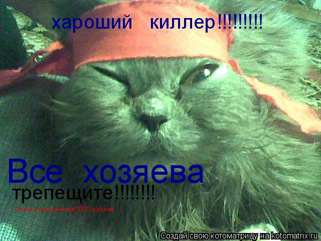 хароший киллер!!!!!!!!! Все хозяева трепещите!!!!!!!! Оплата наличними(1000 рублей )... Котоматрица: хароший киллер!!!!!!!!! Все хозяева трепещите!!!!!!!! Оплата наличними(1000 рублей )