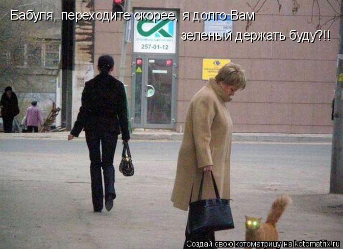 Котоматрица: Бабуля, переходите скорее, я долго Вам зеленый держать буду?!!