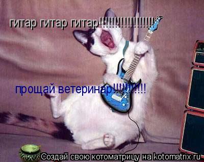 гитар гитар гитар!!!!!!!!!!!!!!!!!! прощай ветеринар!!!!!!!!!!!... Котоматрица: гитар гитар гитар!!!!!!!!!!!!!!!!!! прощай ветеринар!!!!!!!!!!!