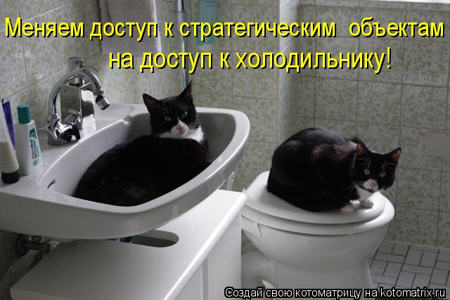 на доступ к холодильнику! Меняем доступ к стратегическим объектам... Котоматрица: на доступ к холодильнику! Меняем доступ к стратегическим объектам