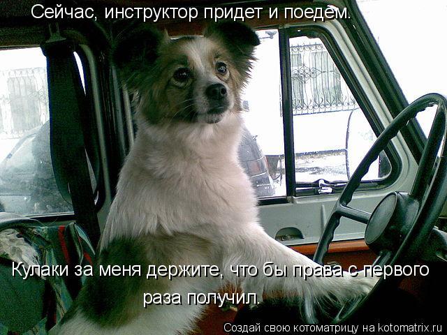 Сейчас, инструктор придет и поедем. Кулаки за меня держите, что бы права с первого раза получил.... Котоматрица: Сейчас, инструктор придет и поедем. Кулаки за меня держите, что бы права с первого раза получил.