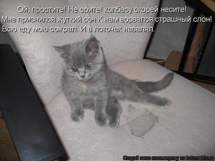 Ой, простите! Не орите! колбасу скорей несите! Мне приснился жуткий сон К нам ворвался страшный слон!... Котоматрица: Ой, простите! Не орите! колбасу скорей несите! Мне приснился жуткий сон К нам ворвался страшный слон! Всю еду мою сожрал. И в лоточек навалял.