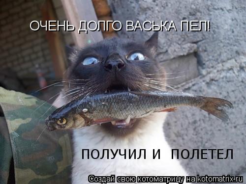 ОЧЕНЬ ДОЛГО ВАСЬКА ПЕЛ! ПОЛУЧИЛ И ПОЛЕТЕЛ... Котоматрица: ОЧЕНЬ ДОЛГО ВАСЬКА ПЕЛ! ПОЛУЧИЛ И ПОЛЕТЕЛ
