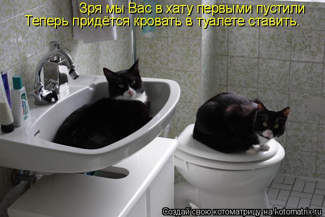 Зря мы Вас в хату первыми пустили Теперь придётся кровать в туалете ставить.... Котоматрица: Зря мы Вас в хату первыми пустили Теперь придётся кровать в туалете ставить.