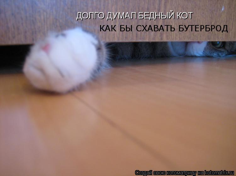 ДОЛГО ДУМАЛ БЕДНЫЙ КОТ КАК БЫ СХАВАТЬ БУТЕРБРОД... Котоматрица: ДОЛГО ДУМАЛ БЕДНЫЙ КОТ КАК БЫ СХАВАТЬ БУТЕРБРОД