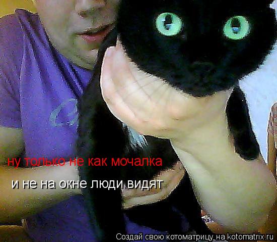 ну только не как мочалка и не на окне люди видят... Котоматрица: ну только не как мочалка и не на окне люди видят