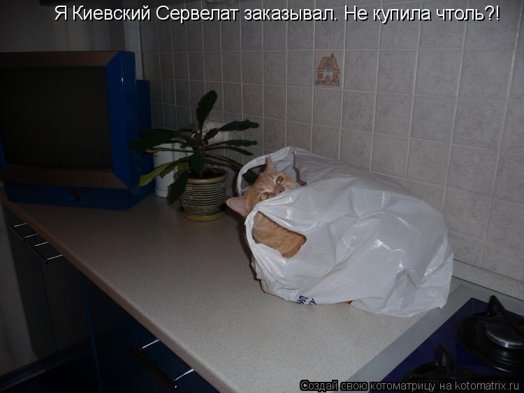 Я Киевский Сервелат заказывал. Не купила чтоль?!... Котоматрица: Я Киевский Сервелат заказывал. Не купила чтоль?!