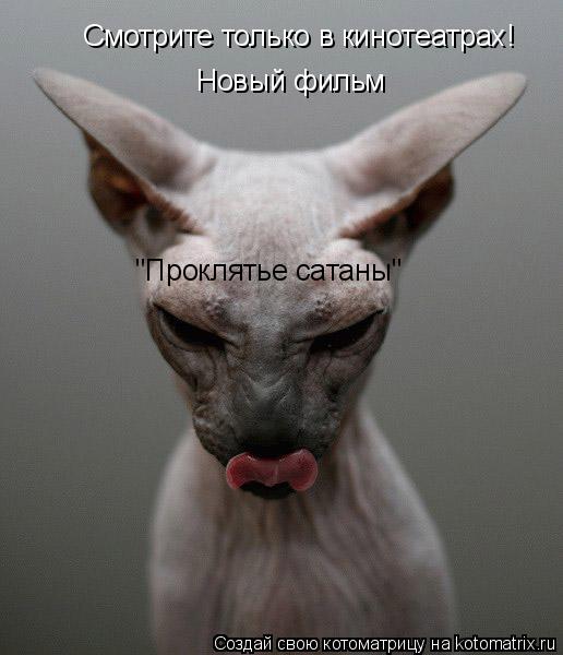 Смотрите только в кинотеатрах! Новый фильм "Проклятье сатаны"... Котоматрица: Смотрите только в кинотеатрах! Новый фильм "Проклятье сатаны"
