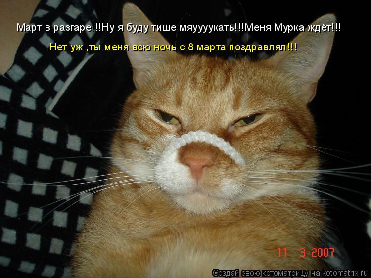 Март в разгаре!!!Ну я буду тише мяуууукать!!!Меня Мурка ждёт!!! Нет уж ,ты меня всю ночь с 8 марта по... Котоматрица: Март в разгаре!!!Ну я буду тише мяуууукать!!!Меня Мурка ждёт!!! Нет уж ,ты меня всю ночь с 8 марта поздравлял!!!