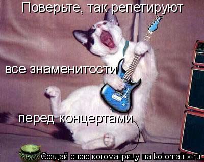 Поверьте, так репетируют все знаменти все знаменти все знаменитости перед концертами... Котоматрица: Поверьте, так репетируют все знаменти все знаменти все знаменитости перед концертами