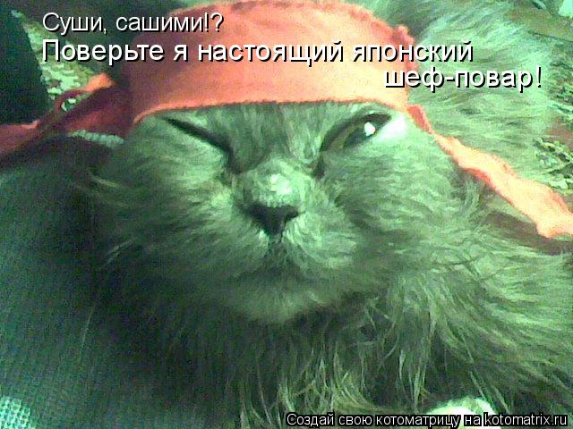 Суши, сашими!? Поверьте я настоящий японский шеф-повар!... Котоматрица: Суши, сашими!? Поверьте я настоящий японский шеф-повар!
