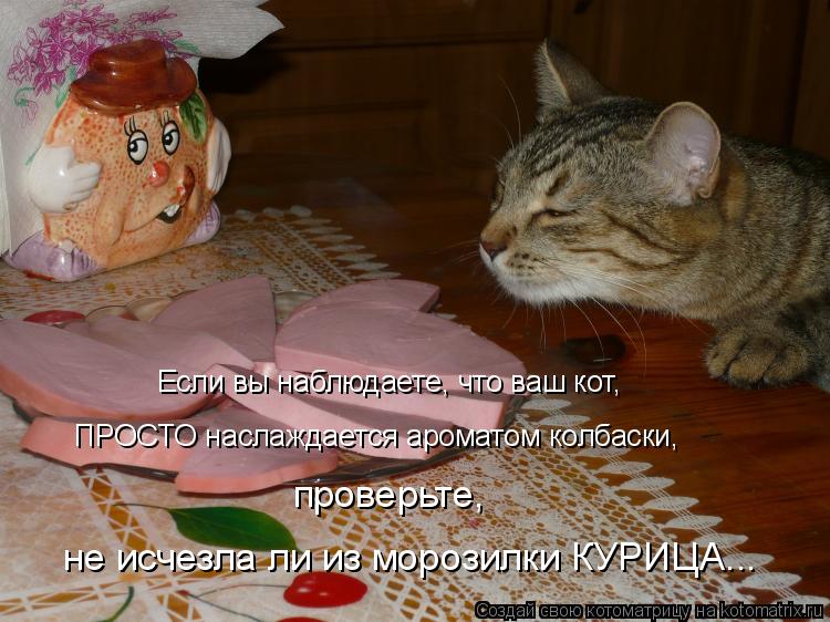Если вы наблюдаете, что ваш кот, ПРОСТО наслаждается ароматом колбаски, проверьте, не исчезла ли из... Котоматрица: Если вы наблюдаете, что ваш кот, ПРОСТО наслаждается ароматом колбаски, проверьте, не исчезла ли из морозилки КУРИЦА...