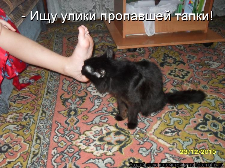- Ищу улики пропавшей тапки!... Котоматрица: - Ищу улики пропавшей тапки!