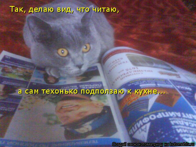 Так, делаю вид, что читаю, а сам техонько подползаю к кухне...... Котоматрица: Так, делаю вид, что читаю, а сам техонько подползаю к кухне...