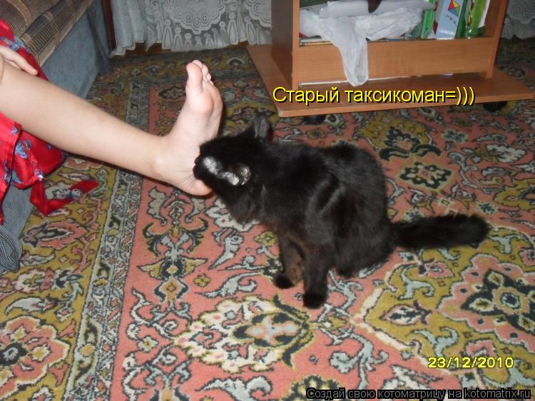 Старый таксикоман=)))... Котоматрица: Старый таксикоман=)))