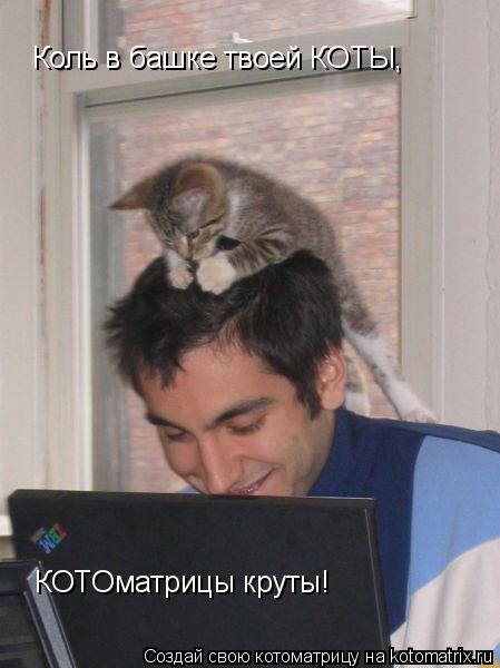 Коль в башке твоей КОТЫ, КОТОматрицы круты!... Котоматрица: Коль в башке твоей КОТЫ, КОТОматрицы круты!