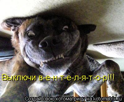 Выключи в-е-н-т-е-л-я-т-о-р!!!... Котоматрица: Выключи в-е-н-т-е-л-я-т-о-р!!!