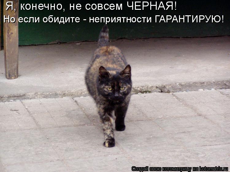 Я, конечно, не совсем ЧЕРНАЯ! Но если обидите - неприятности ГАРАНТИРУЮ!... Котоматрица: Я, конечно, не совсем ЧЕРНАЯ! Но если обидите - неприятности ГАРАНТИРУЮ!
