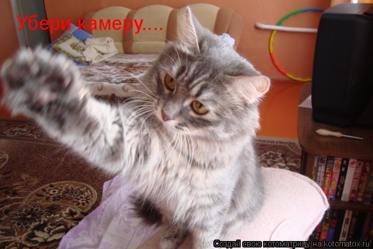 Убери камеру....... Котоматрица: Убери камеру....