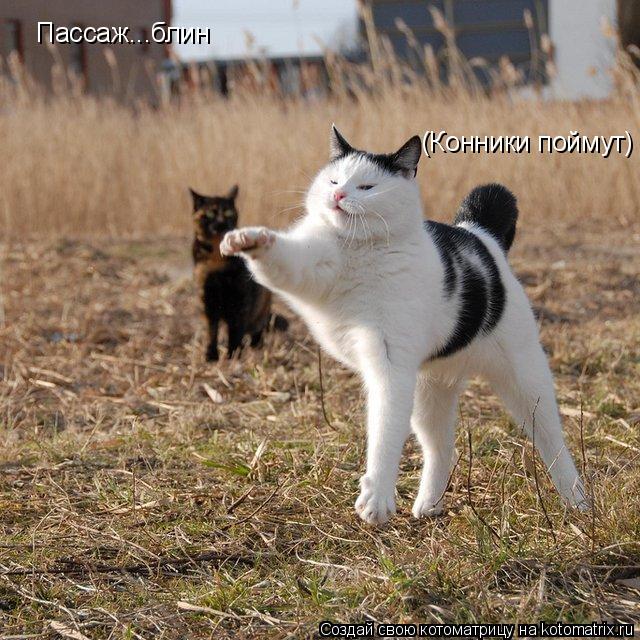 Пассаж...блин (Конники поймут)... Котоматрица: Пассаж...блин (Конники поймут)