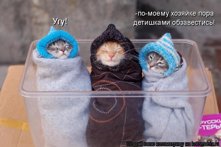 -по-моему хозяйке пора детишками обзавестись! Угу!... Котоматрица: -по-моему хозяйке пора детишками обзавестись! Угу!