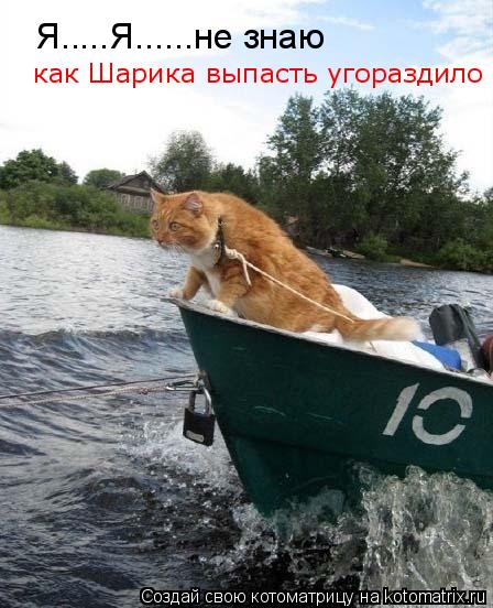 Я.....Я......не знаю как Шарика выпасть угораздило... Котоматрица: Я.....Я......не знаю как Шарика выпасть угораздило