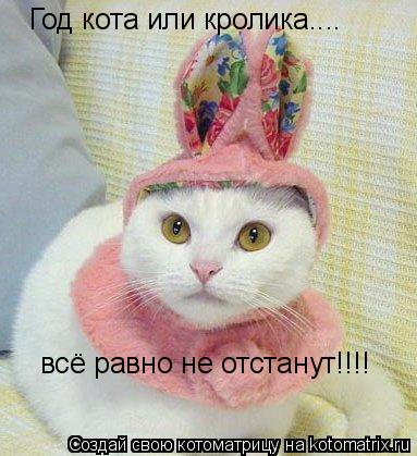 Год кота или кролика.... всё равно не отстанут!!!!... Котоматрица: Год кота или кролика.... всё равно не отстанут!!!!