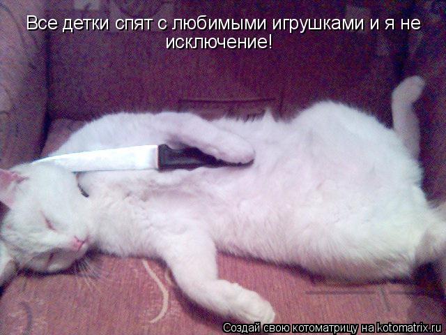 Все детки спят с любимыми игрушками и я не исключение!... Котоматрица: Все детки спят с любимыми игрушками и я не исключение!