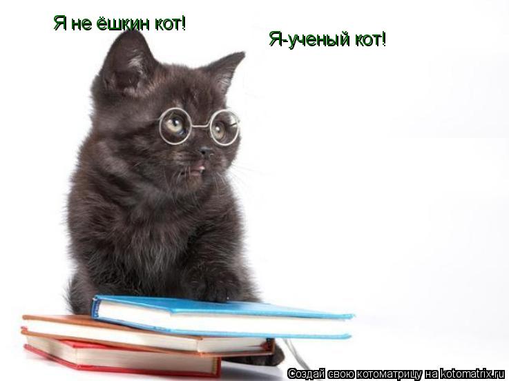 Я не ёшкин кот! Я-ученый кот!... Котоматрица: Я не ёшкин кот! Я-ученый кот!