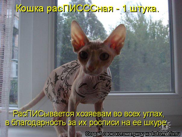 Кошка расПИСССная - 1 штука. РасПИСывается хозяевам во всех углах, в благодарность за их росписи на ... Котоматрица: Кошка расПИСССная - 1 штука. РасПИСывается хозяевам во всех углах, в благодарность за их росписи на ее шкуре.